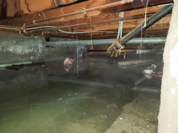 Best Water damage restoration near me  in Amery, WI