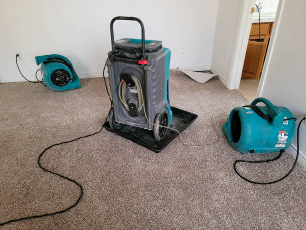 Best Ceiling water damage repair  in Amery, WI