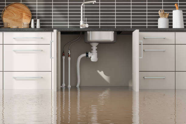 Best Local water damage restoration  in Amery, WI