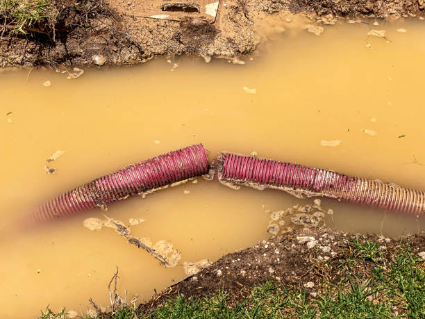 Best Commercial water damage restoration  in Amery, WI