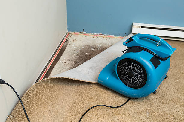  Amery, WI Water damage restoration Pros
